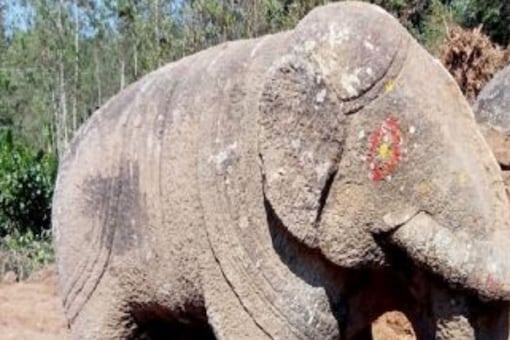 Ningegowda was the owner of the plot on which the stone elephant was planted. (Photo: News18)