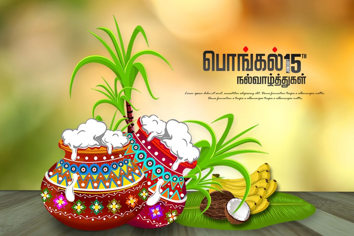 Pongal Wishes 2024 in Tamil Happy Pongal Quotes Greetings Messages