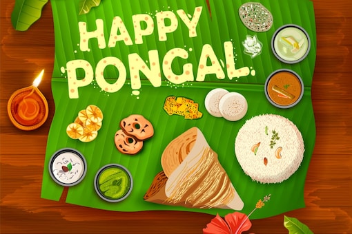 Happy Pongal 2022: ͡ҡԸաЧҹͧ 餹ҧʹءʹҹѺѹ§ҹͧطѹ  (Ҿ᷹: Shutterstock)
