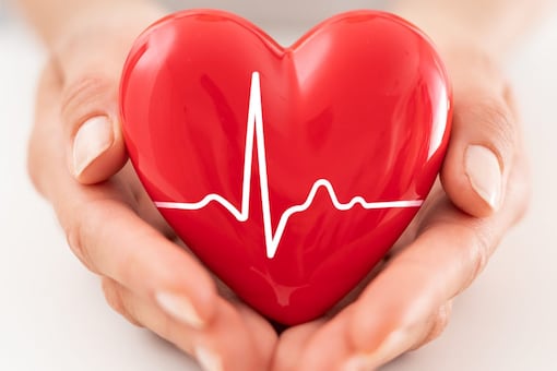 The heart is the most important organ in the human body after the brain (Image: Shutterstock)