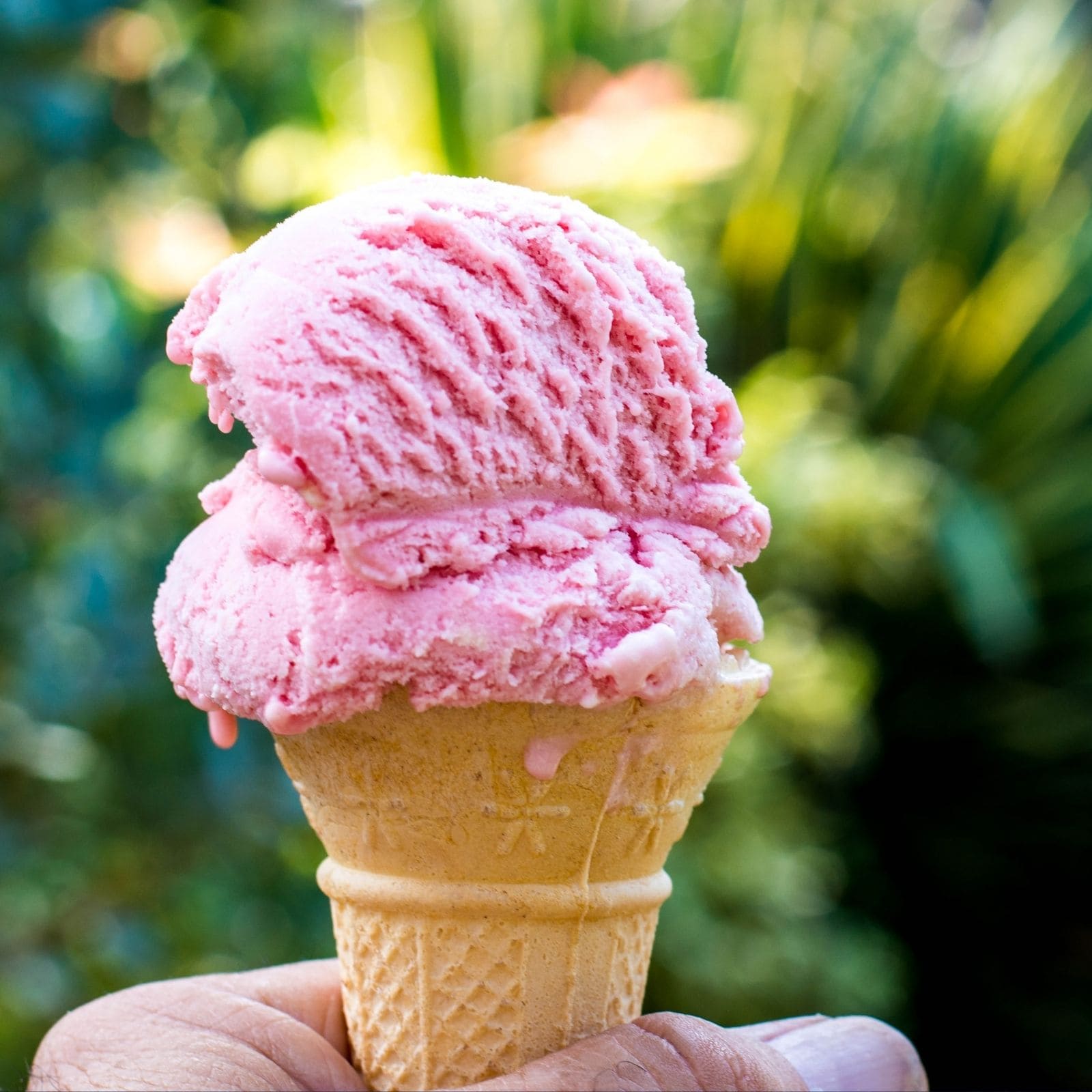 Summers Are Here: Industrial Ice Cream or Artisanal Ice Cream