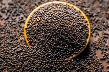 Weight Loss: Mustard Seeds are Your Answer to Weight Loss Woes