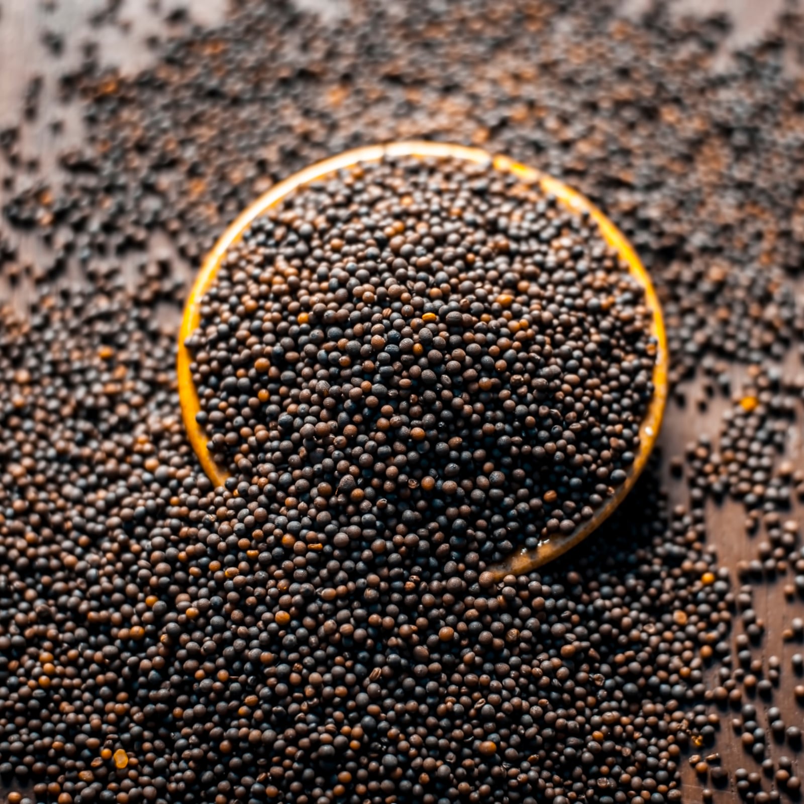 Weight Loss: Mustard Seeds are Your Answer to Weight Loss Woes