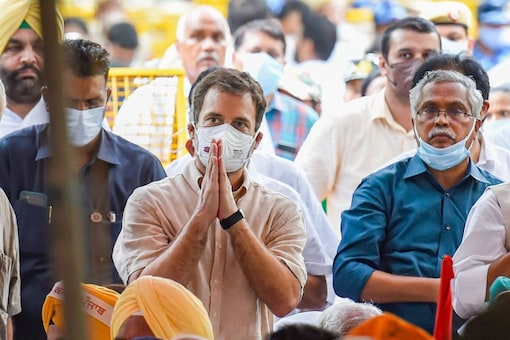 Congress leader Rahul Gandhi met Goa candidates on March 5 and held a review meet with senior leaders. (Photo: PTI File)