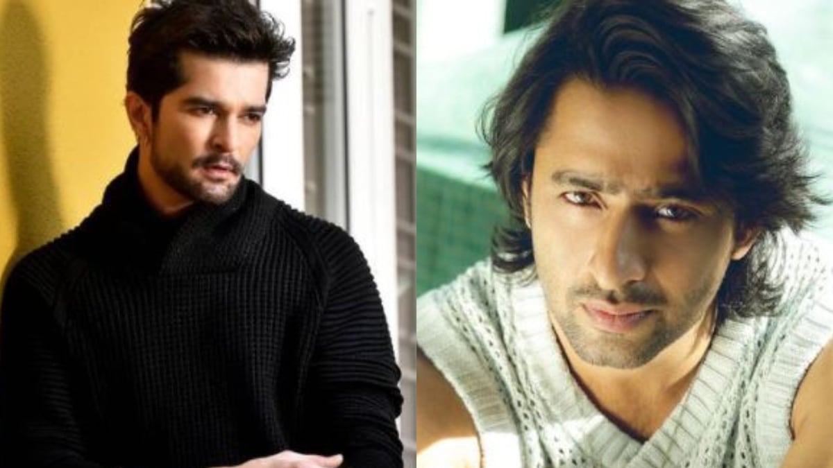 Raqesh Bapat to Join Hands With Shaheer Sheikh for His Next TV Show? Details Inside