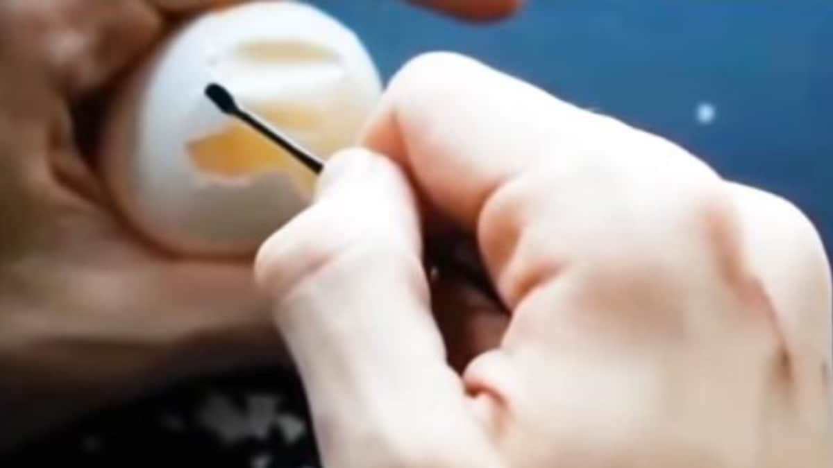 BuzzFix: Why Are People Peeling Raw Eggs in Bizarre Trend on TikTok?