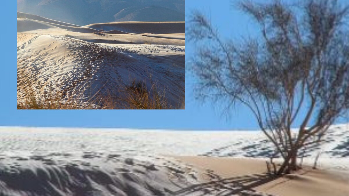 Sahara Desert Gets Snowfall in Rare Phenomenon, Stunning Photos Go Viral