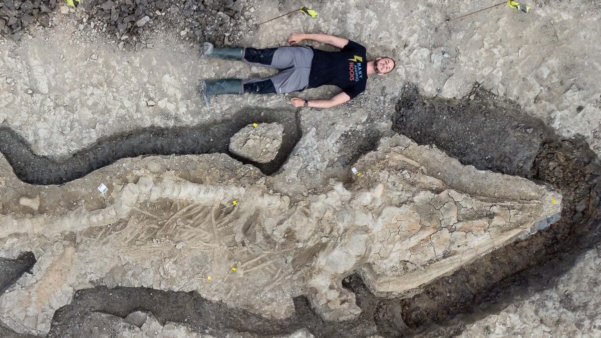 Massive Fossilised 'Sea Dragon' Unearthed By Worker in UK Reservoir ...