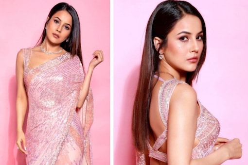 Actress-singer Shehnaaz Gill, who rose to fame with her stint in Bigg Boss 13, stuns in a pastel pink Manish Malhotra saree.
