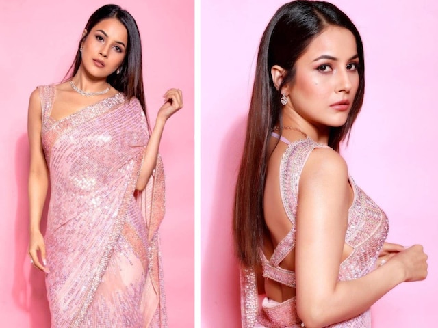 Shehnaaz Gill is Making a Wish Come True in a Pink Sequin Saree