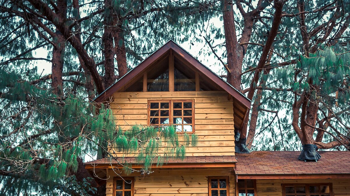 Fancy a Tree House with a Sea View? Mumbai Will Have it Soon News18