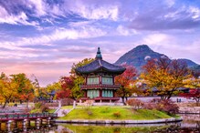 Planning to Visit South Korea? Read These 5 Books Before You Travel