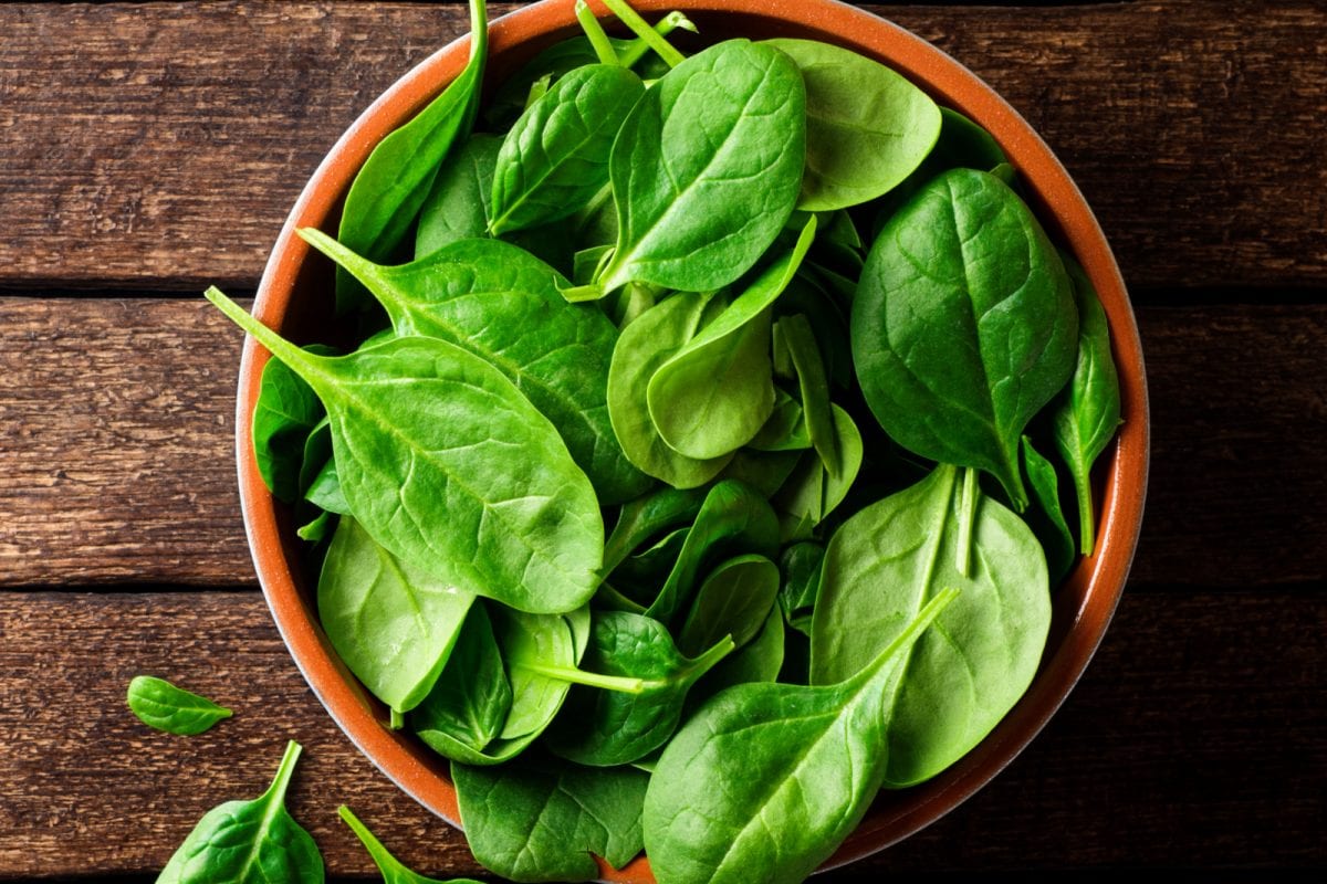 Spinach Can Turn Harmful if Consumed in Excess