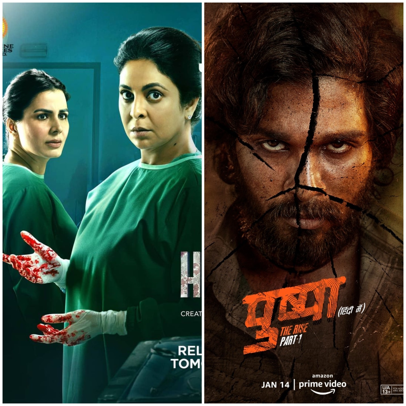 Streaming Now Human, Pushpa in Hindi, Ranjish Hi Sahi and More on OTT This Week