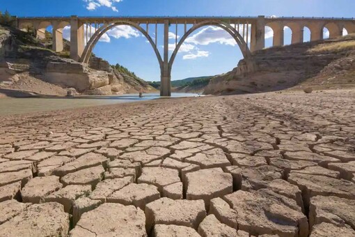 Climate Change Will Lead to Rise in People Suffering From Kidney Stones: Study