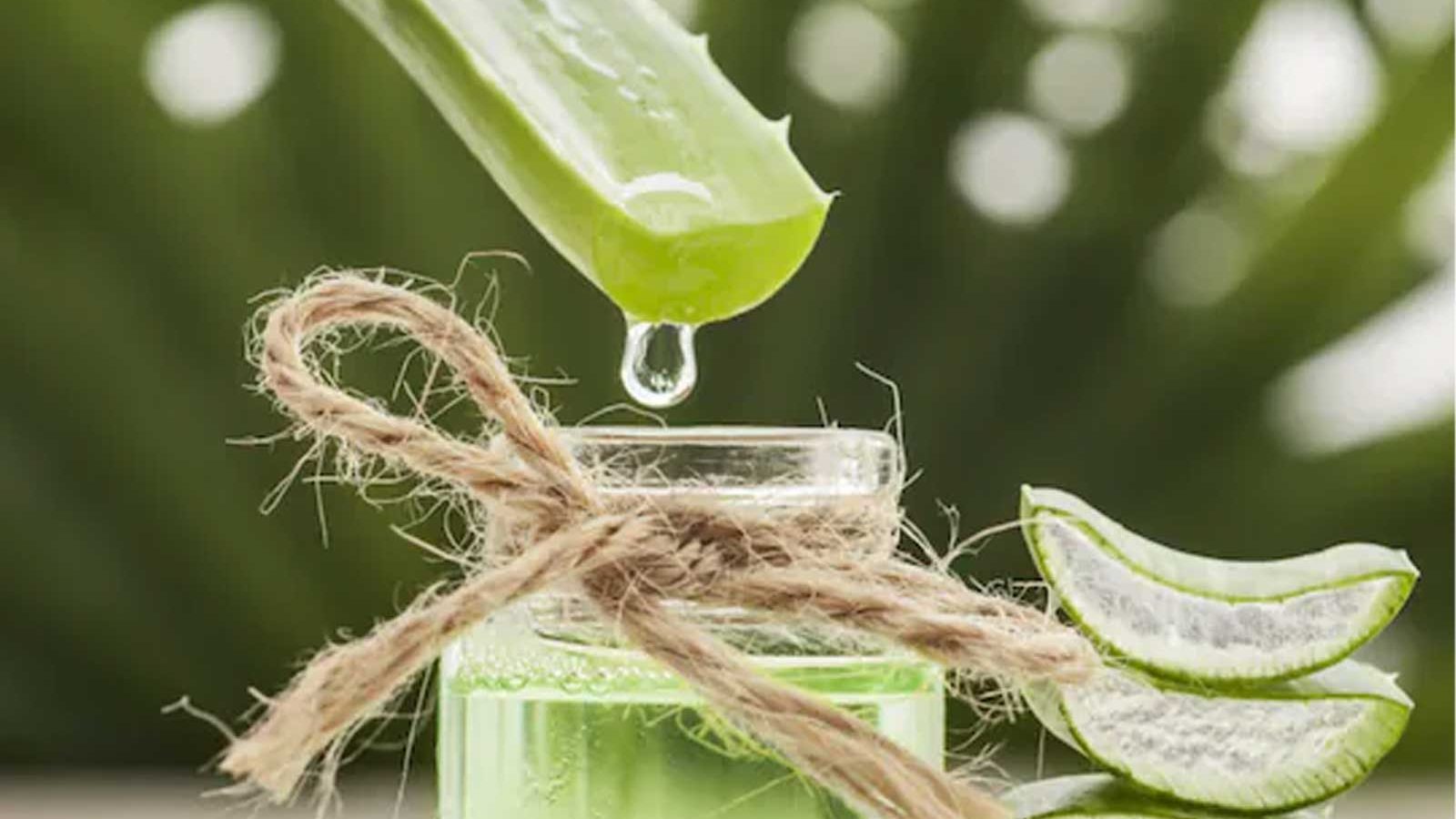 4 ways to consume aloe vera for a healthy weight loss! - Times of