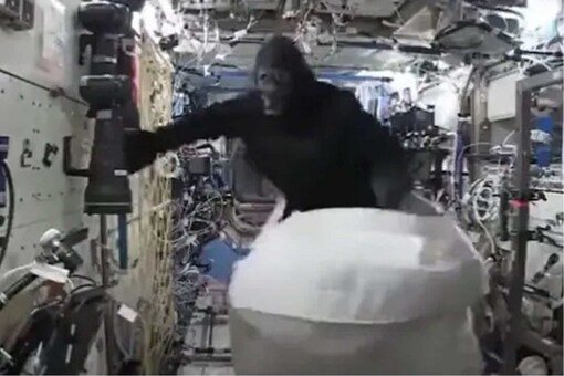 A gorilla is seen flying in the zero-gravity environment of a space station.