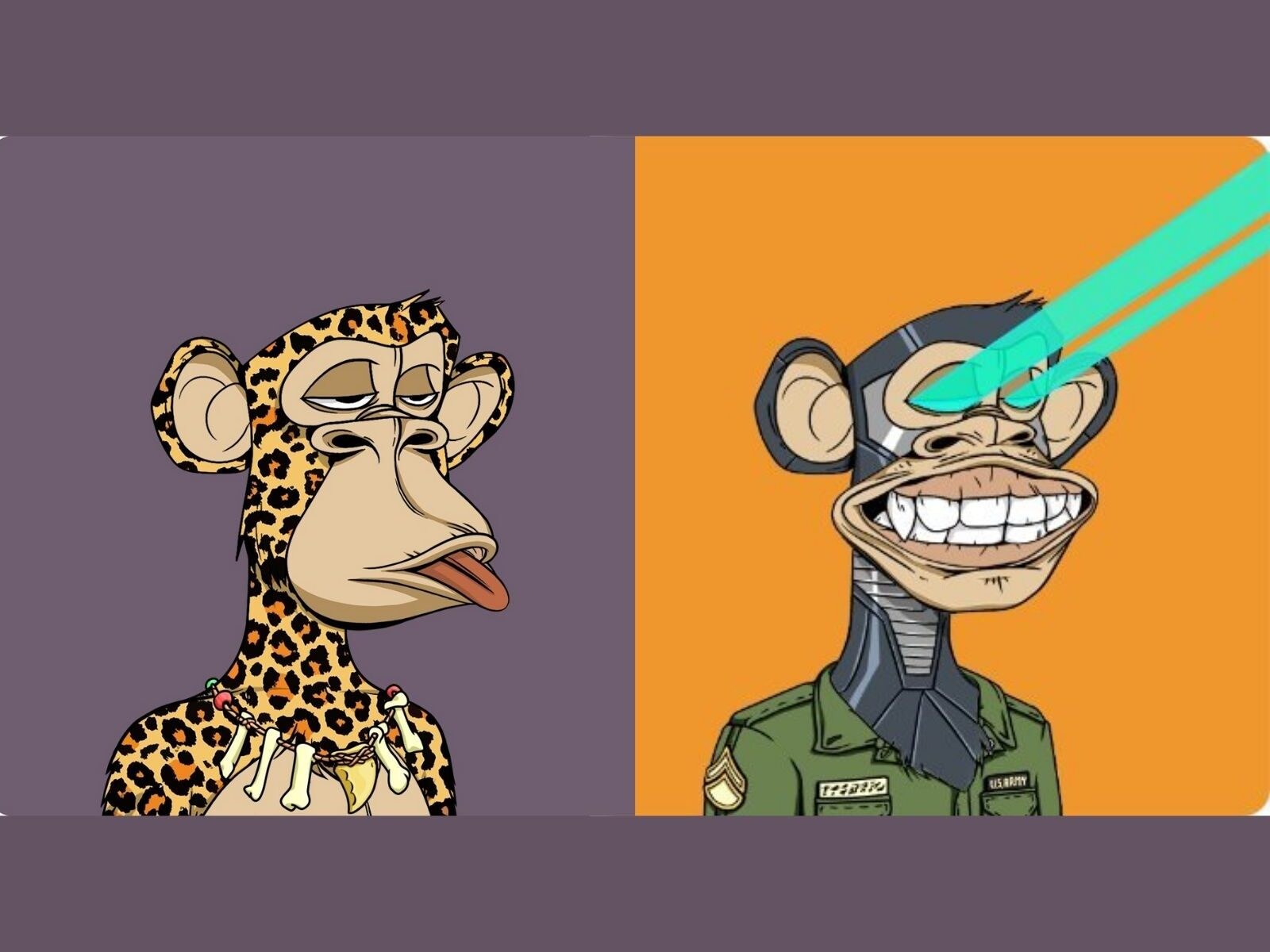 Bored Ape Yacht Club Founders Revealed - These Are The People Behind Famous  Bored Ape NFTs | Tech News - News18