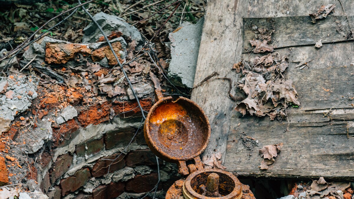 Madhya Pradesh Brick Kiln Operator Finds Diamond Worth Rs 1.2 Crore in