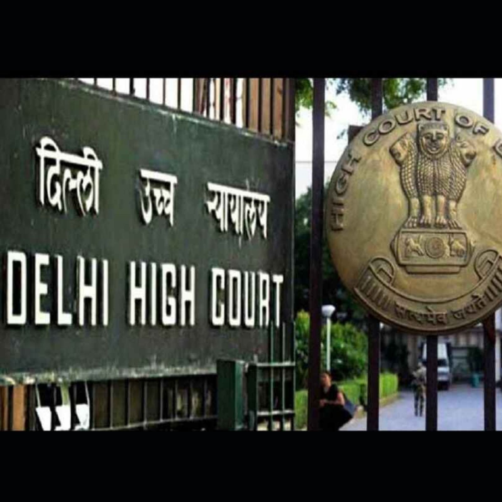 in the high court of delhi at new delhi