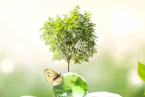 India with the right policy support is in a unique position to not only become self-sufficient in green hydrogen but also produce green hydrogen for export markets, argues Ritu Bhandari. Photo for representation: Shutterstock