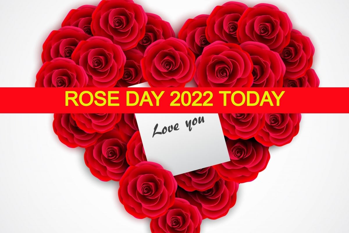 Today rose deals day