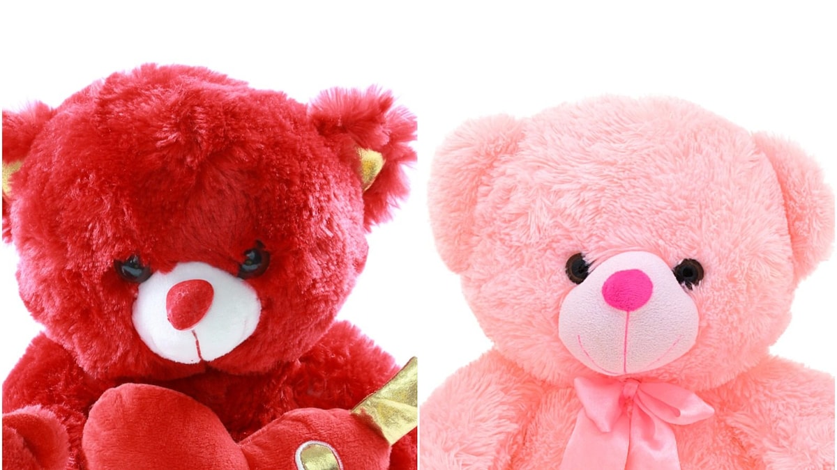 Valentine's Week 2022: Teddy Day Today; Know Significance of Different Colours of Teddy Bears