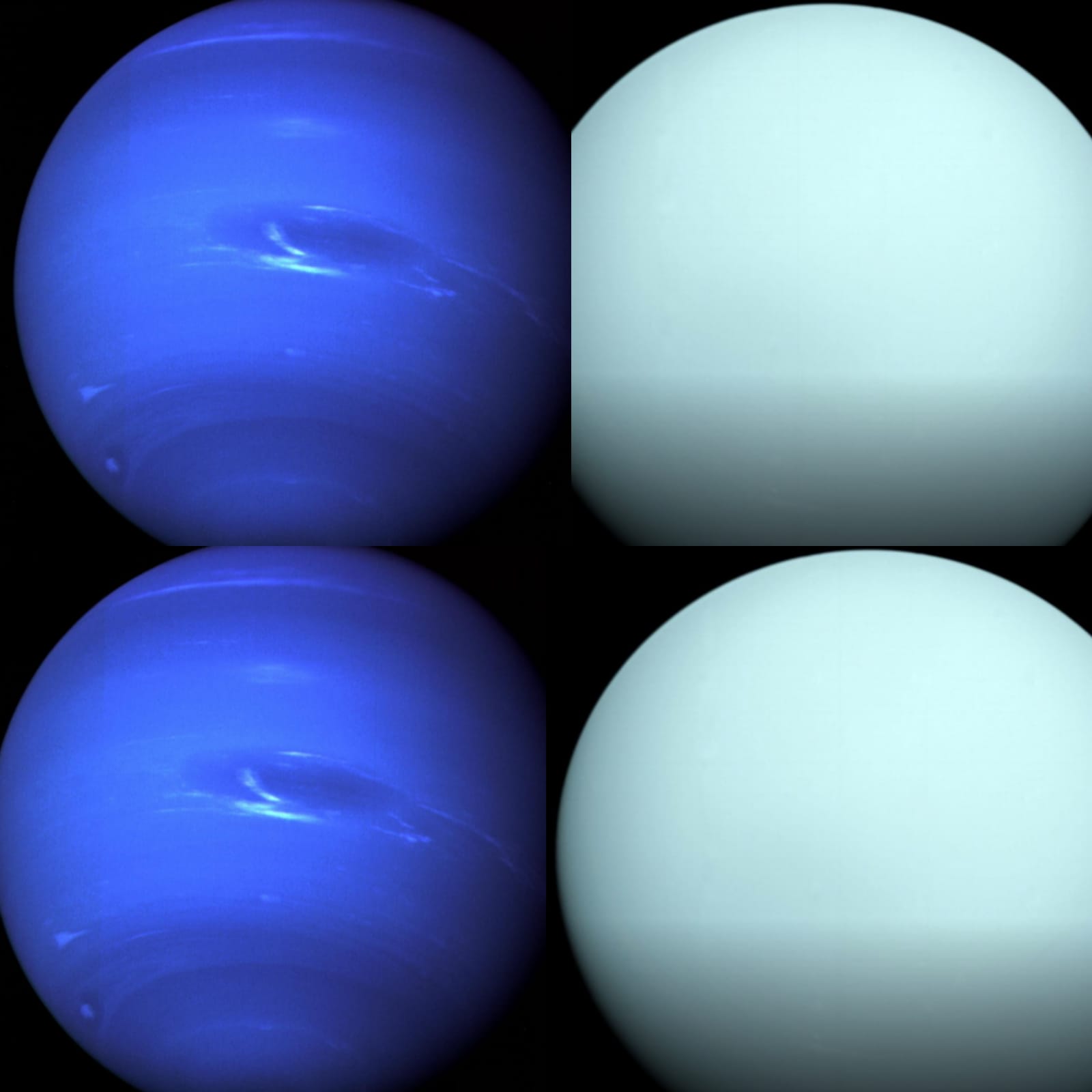 OOriginal | Neptune Blue