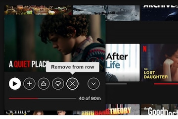 Netflix Web Player