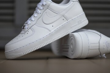 200 Pairs of Louis Vuitton, Nike 'Air Force 1' Fetch Rs 2.5 Crore