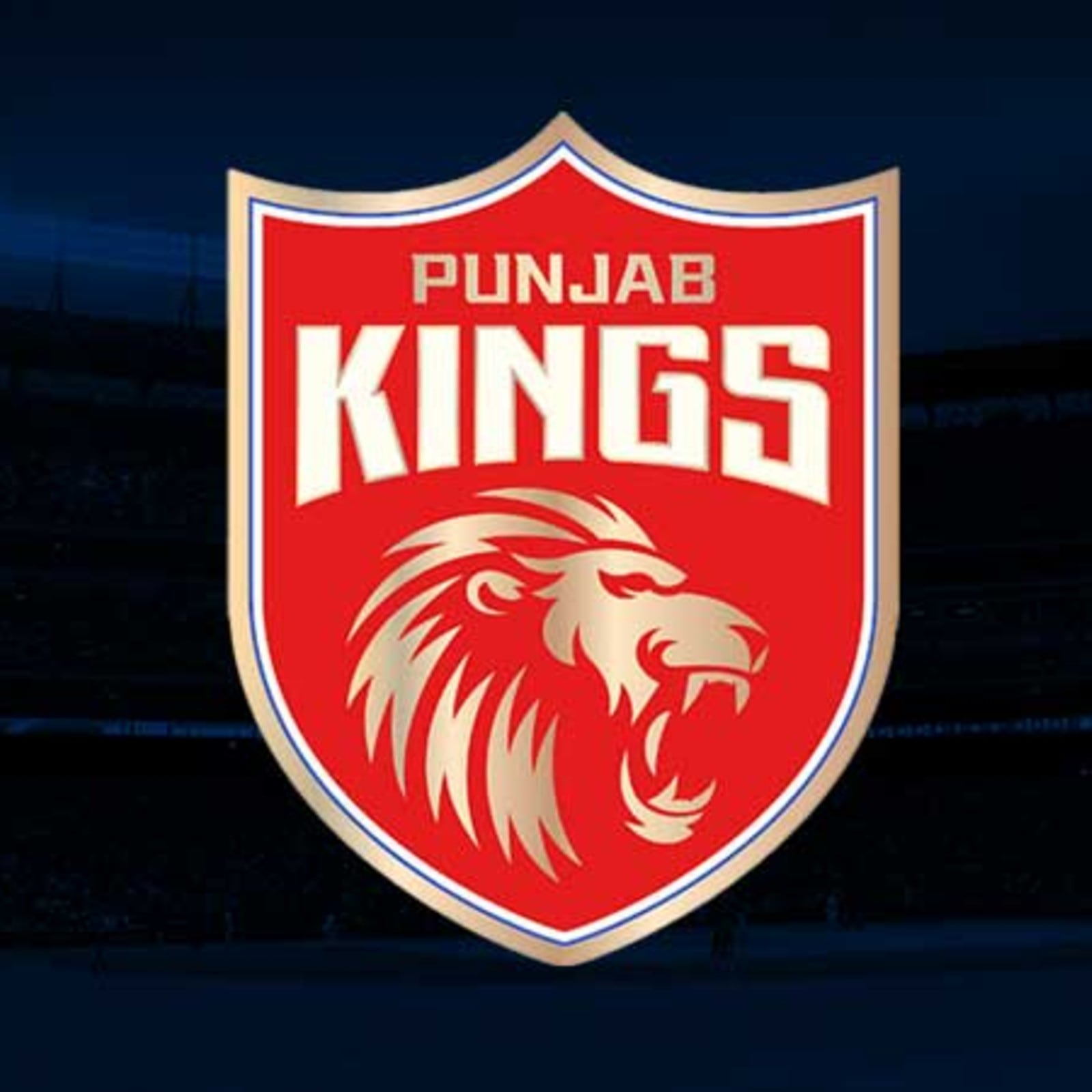 IPL 2021: Know the remaining purse of all 8 teams, players available at  auction - myKhel