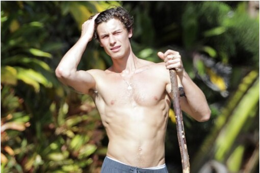 Shawn Mendes Flaunts His Flashboard Abs, Toned Physique During a ...