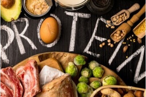 Animal Protein or Plant Protein: Which One is Better Animal Protein or Plant Protein: Which One is Better