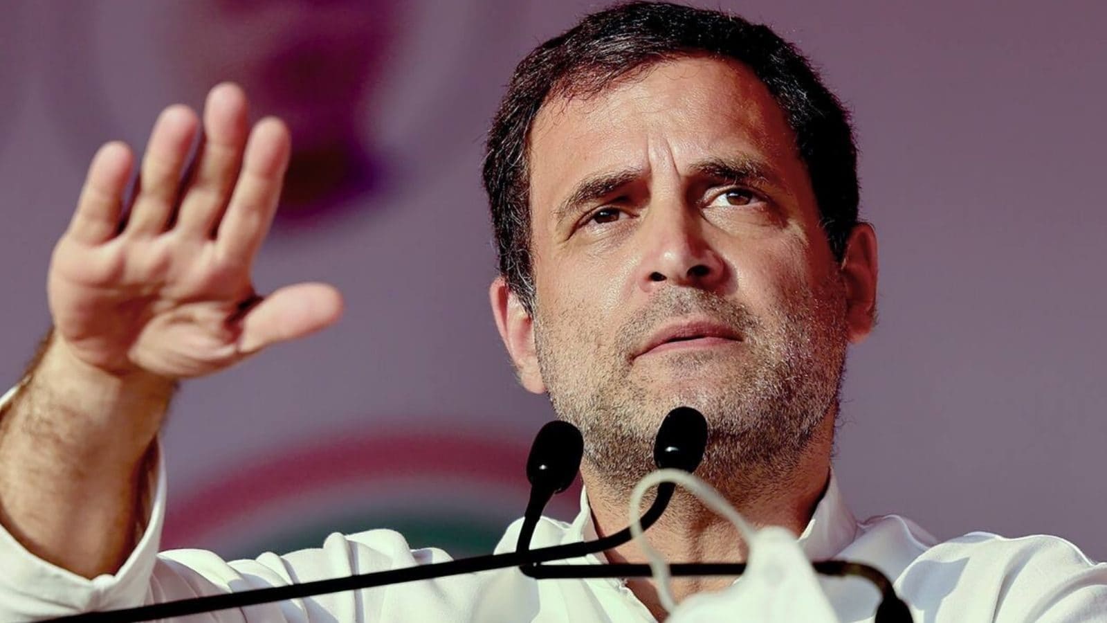 Chhattisgarh Cong Passes Resolution to Make Rahul Gandhi Party President