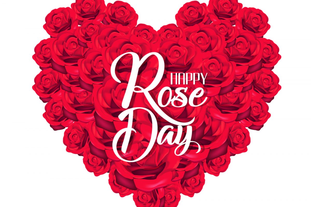 Rose 2022. Happy Rose Day .7.February .2022.