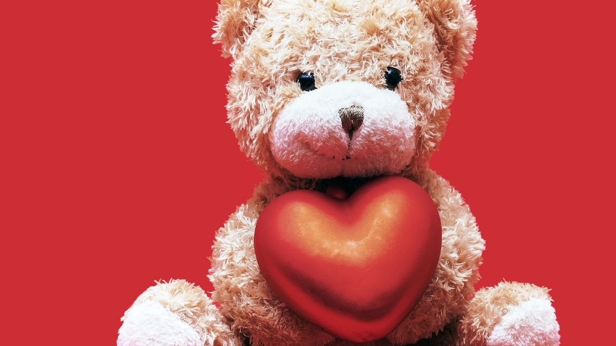 Teddy Day 2022: Unique Ideas to Celebrate Fourth Day of Valentine's Week