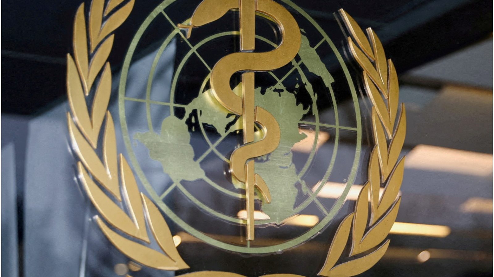 EXPLAINED: How the World Health Organization Might Face Future ...