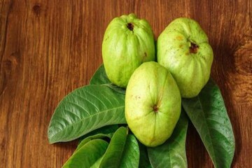 Why Guava Is The One-Stop Solution For Digestion Trouble