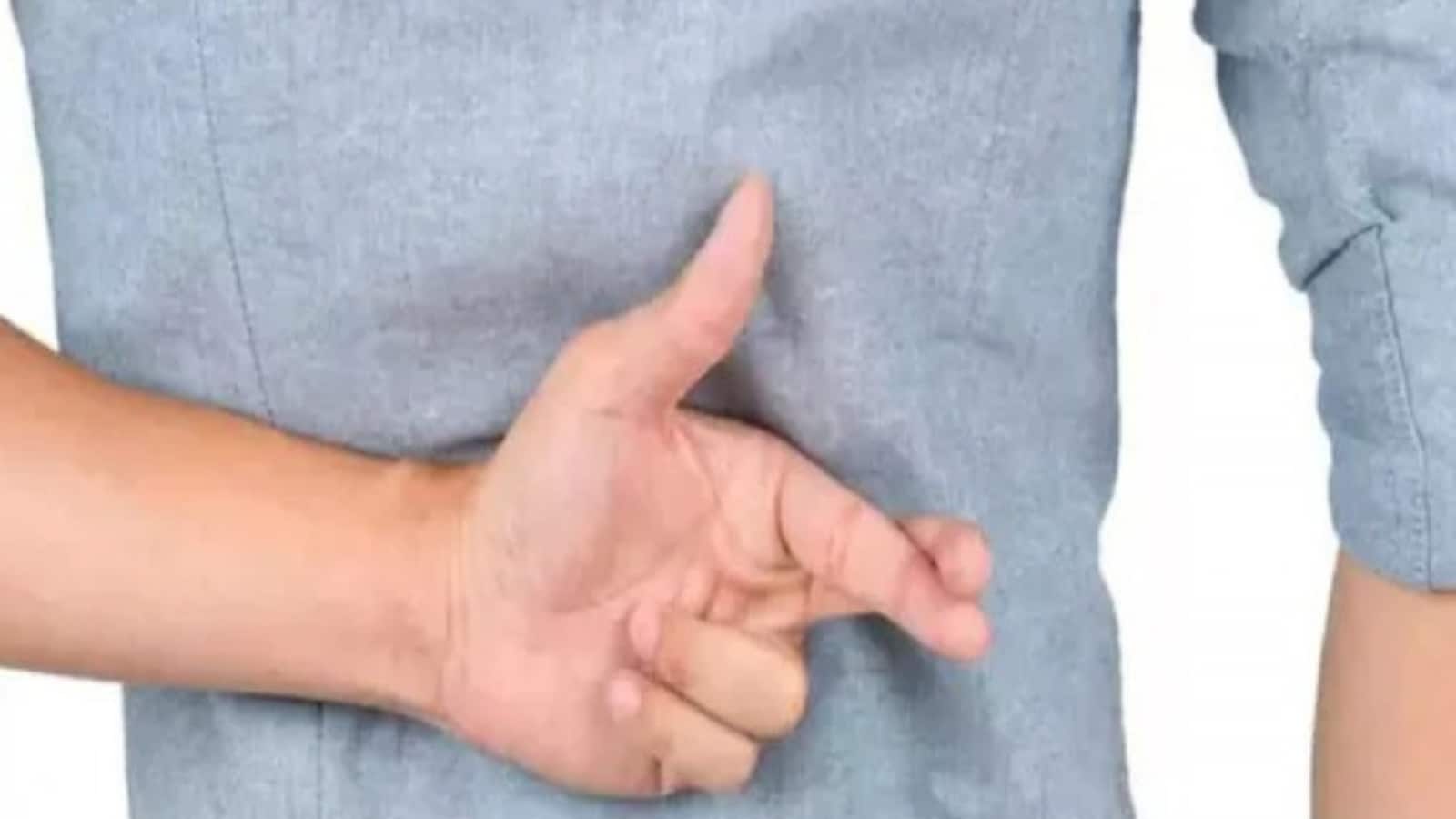 What is Agave Nectar And is it Really Better Than Sugar? Technocharger