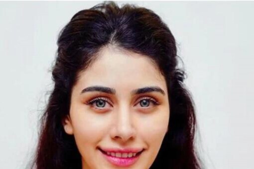 Happy Birthday Warina Hussain: Some Unknown Facts About Loveyatri Actor