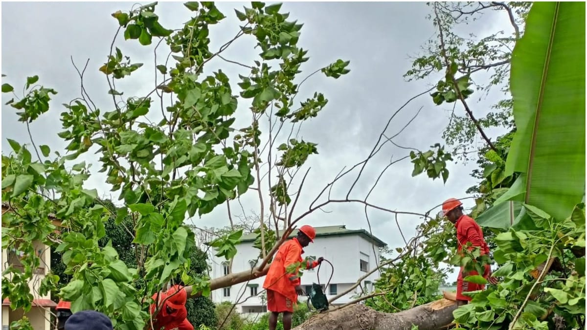 Cyclone Asani Updates: Depression to Turn into Cyclonic Storm by Evening, Andaman Schools shut; Archipelago Braces for Very Heavy Rain