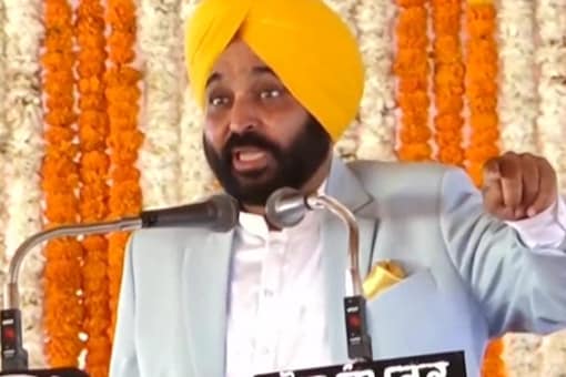 The Aam Aadmi Party had stormed to power in the recently held Assembly polls, winning 92 of the 117 seats. (Image: ANI/File)