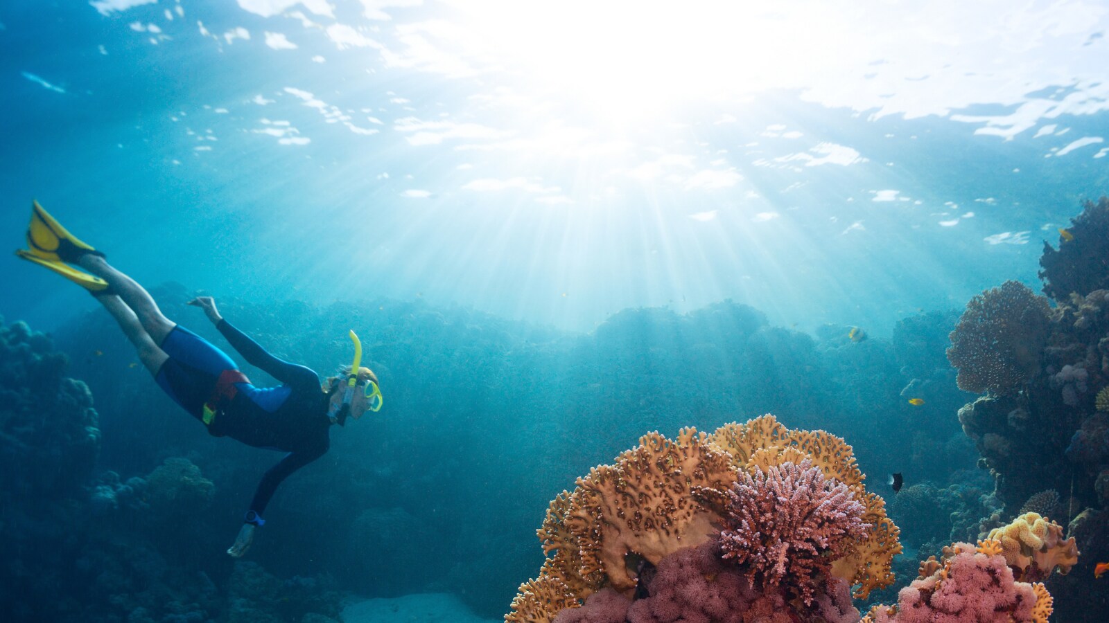 Australia's Great Barrier Reef Hit by 6th Mass Bleaching Event Causing ...