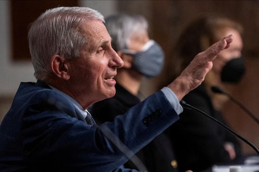 Dr Anthony Fauci answers questions during a Senate Health, Education, Labor, and Pensions Committee hearing to examine the federal response to Covid-19 at Capitol Hill in Washington, on January 11, 2022. (Reuters)