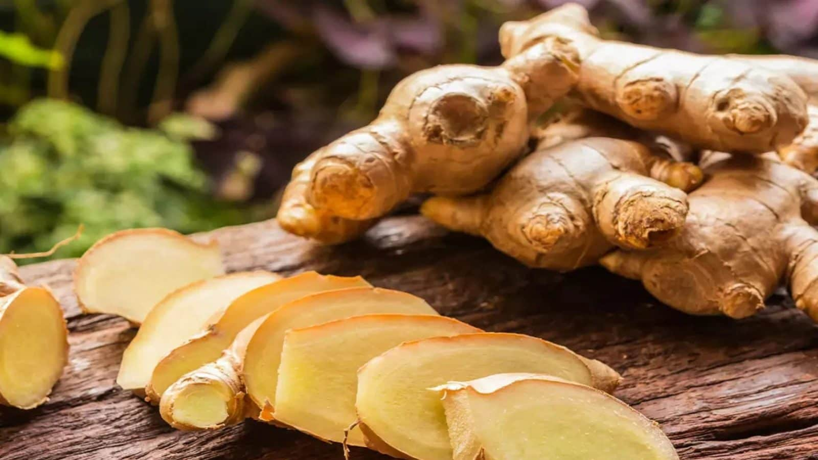 health-benefits-of-consuming-fresh-ginger-and-dry-ginger-fyne-fettle