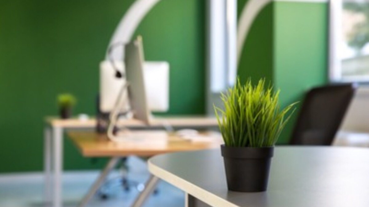 Step Up Your Productivity By Turning Your Office Into a Green Office With These 10 Habits