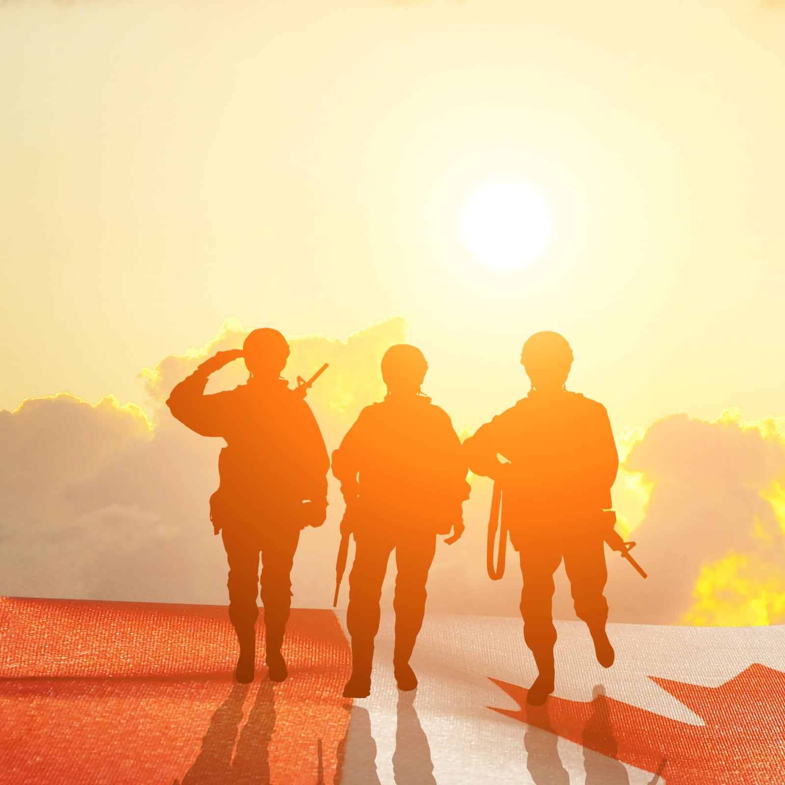 National Security Day