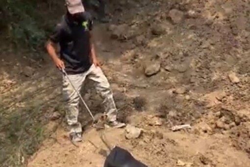WATCH: Maharashtra NGO Workers Rescue Spectacled Cobra from Abandoned Well