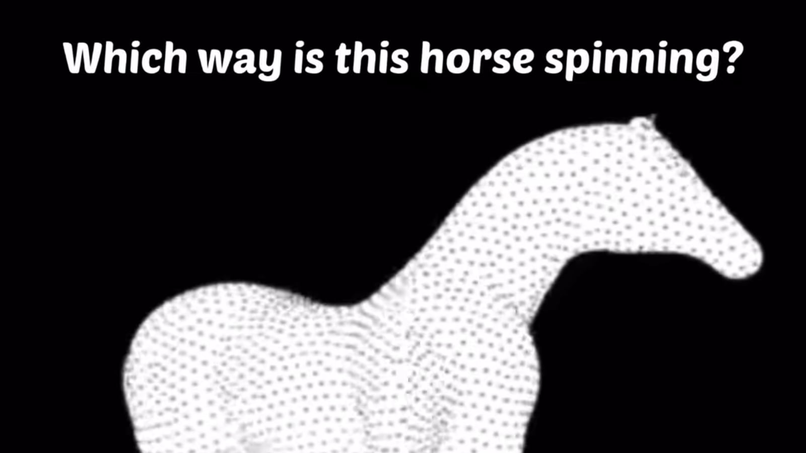 Spinning Horse is an Optical Illusion That Will Leave Your Heads Spinning