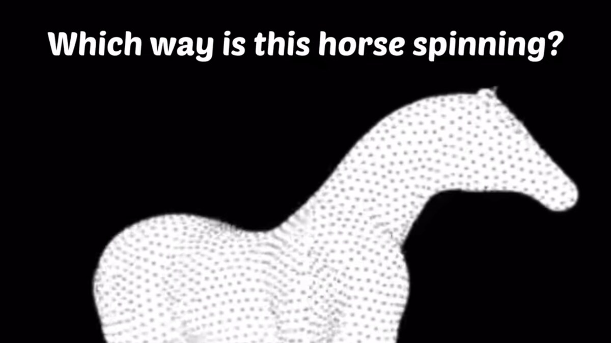 Spinning Horse is an Optical Illusion That Will Leave Your Heads